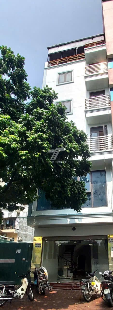 CHo thuê nhà nguyên căn phố Quan Hoa